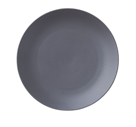 Charcoal Mason Accent Dinner Plate